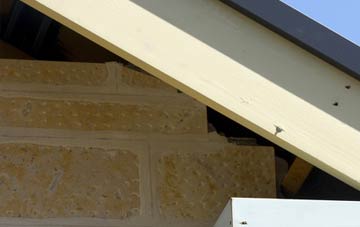 soffit repair Crist